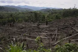 Cuts to USAID severed longstanding American support for Indigenous people around the world