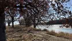 Keystone Woods and the controversy over dogs, birds and land use